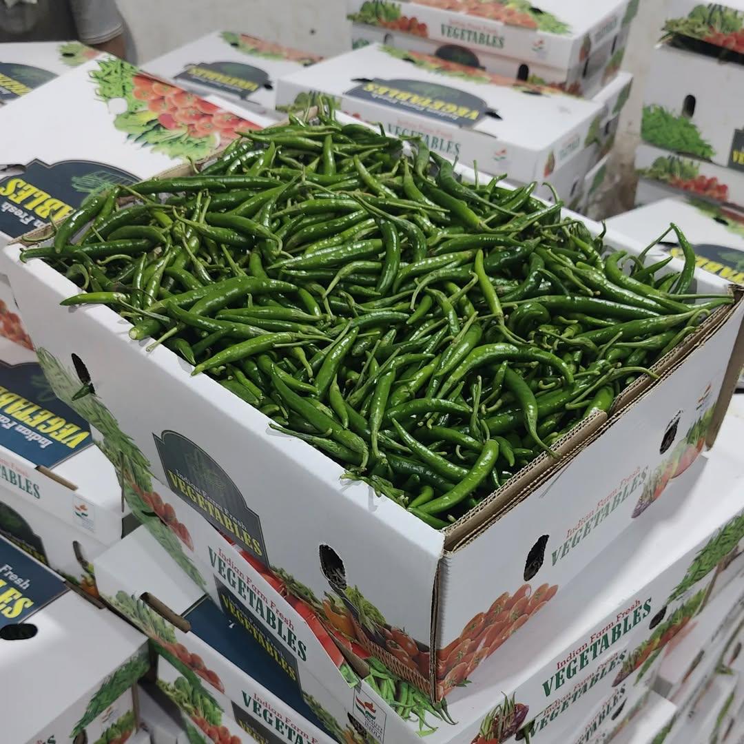 WhatsApp Image 2026-04-14 at 12.58.56 PM