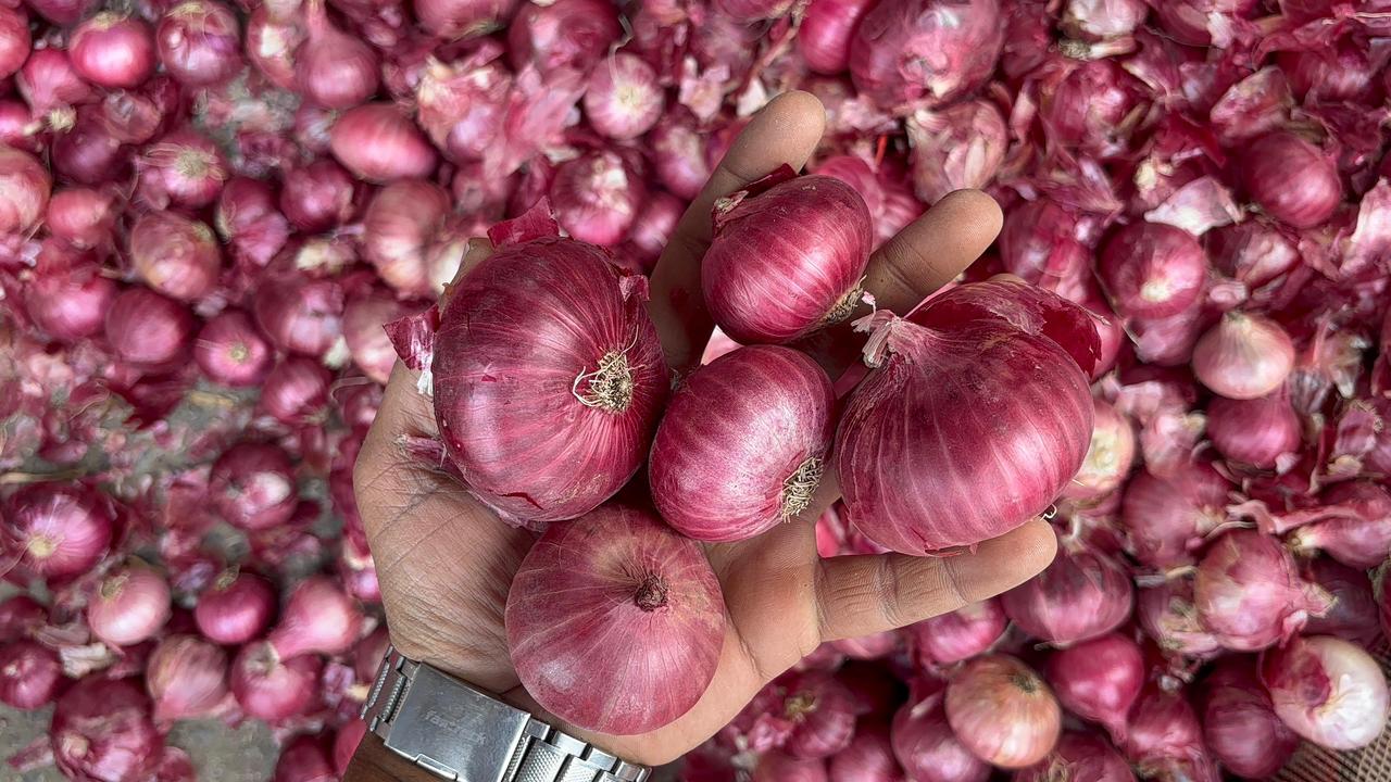 WhatsApp Image 2026-04-16 at 3.05.56 PM (1)