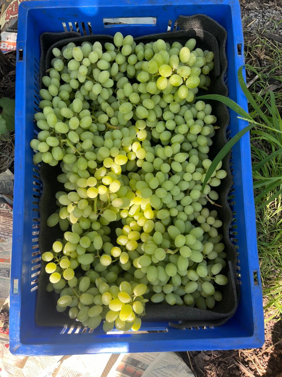 WhatsApp Image 2026-04-16 at 3.05.56 PM